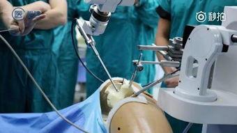 国产塞肛道具视频网站,探索隐秘角落的奇幻世界