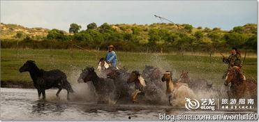国产烈马涉水视频,惊险涉水瞬间引网友热议