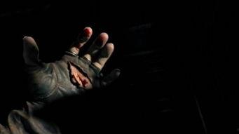 国产狼人拍摄视频网站,探索神秘森林的奇幻之旅