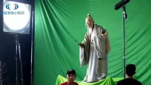 国产尴尬电视剧特效视频