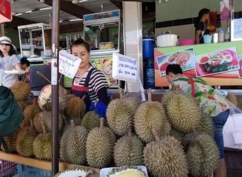 国产榴莲最新消息视频,产量提升，市场前景广阔