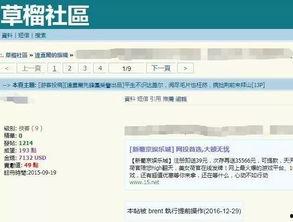 国产祼视频在线观看网站,在线观看背后的真相与风险