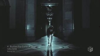 国产大片小蝴蝶视频播放