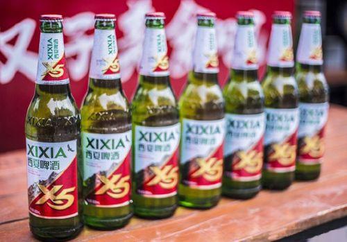 国产啤酒视频大全集,视频大全集深度解析