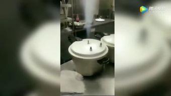 国产洗蛋机视频,高效便捷，引领厨房新潮流