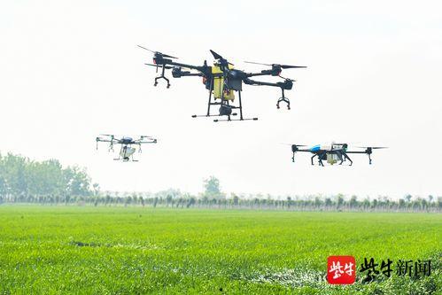 国产无人机探路视频播放,航拍奇观与科技探索之旅 第1张 国产无人机探路视频播放,航拍奇观与科技探索之旅 第1张