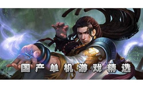 国产单机游戏练武术视频,国产单机游戏练武术视频攻略解析  第1张