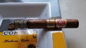 国产雪茄怎样养殖的视频,从选种到养护的全程指南