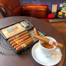 国产雪茄怎样养殖的视频,从选种到养护的全程指南 第2张 国产雪茄怎样养殖的视频,从选种到养护的全程指南 第2张