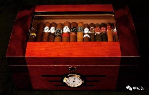 国产雪茄怎样养殖的视频,从选种到养护的全程指南 第3张 国产雪茄怎样养殖的视频,从选种到养护的全程指南 第3张