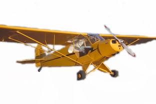 国产蟋蟀飞机售卖视频 第3张 国产蟋蟀飞机售卖视频 第3张