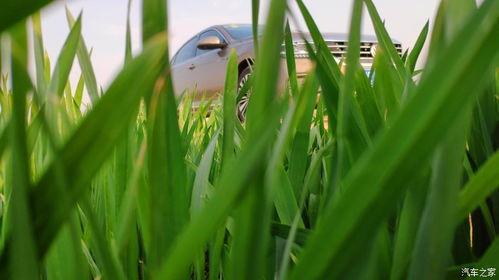 草草青国产小视频 第2张 草草青国产小视频 第2张