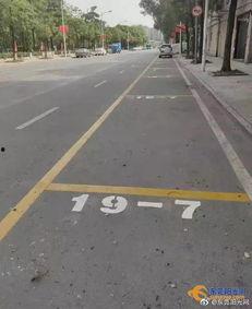 国产体位动态图高清视频,揭秘人体艺术之美  第2张