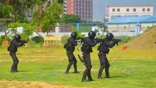 国产最新式的冲锋枪视频  第3张