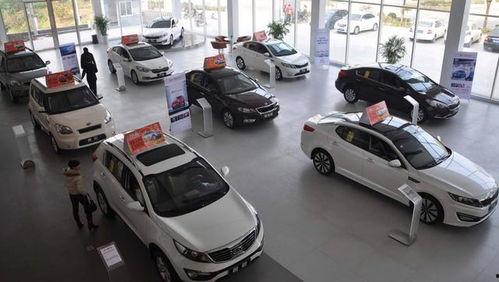 国产车的车主视频,揭秘国产车魅力与不足  第3张