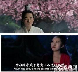 国产人气视频在线看看,盘点热门影视佳作  第3张