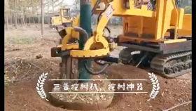 国产最新挖树机视频,高效作业，引领绿色环保新潮流