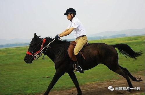 国产骑马福利视频导航  第3张